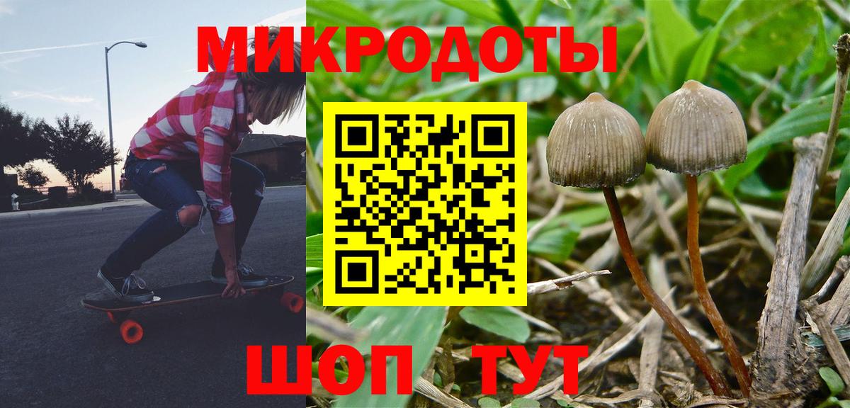 Ишимбай  Галлюциногенные грибы MAGIC MUSHROOMS  Вход с VPN 